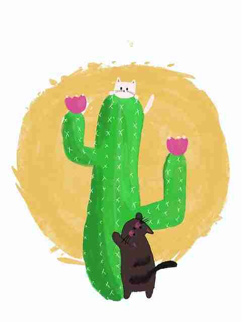 绝密揭秘:黑料网揭露选秀黑幕,引爆微博搜索榜