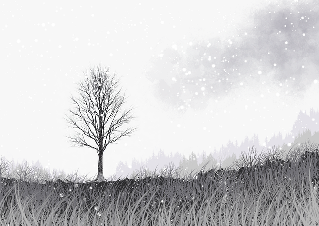 黑料网独家内幕揭秘:争议焦点