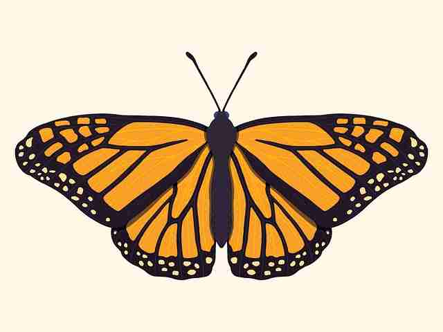 封禁现场:黑料网疑似卧底爆料,舆论分裂升级