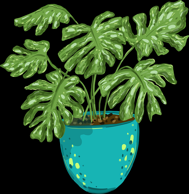 91网独家报道短剧爆火幕后推手|社交热议