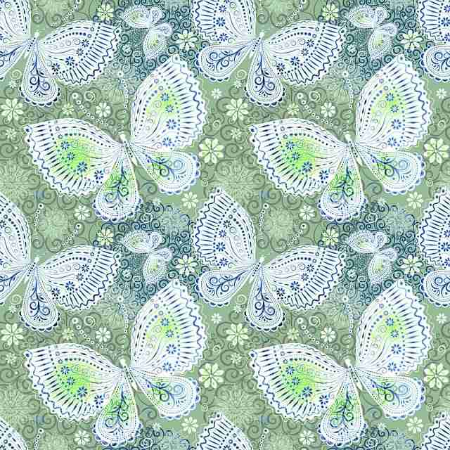 快手成人版短视频分发机制解析-新手必读