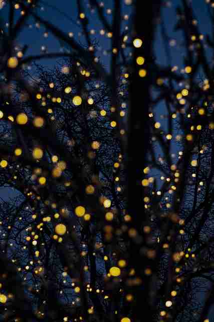 每日大赛选手备赛秘籍 - 赛事解析,每日观赛指南